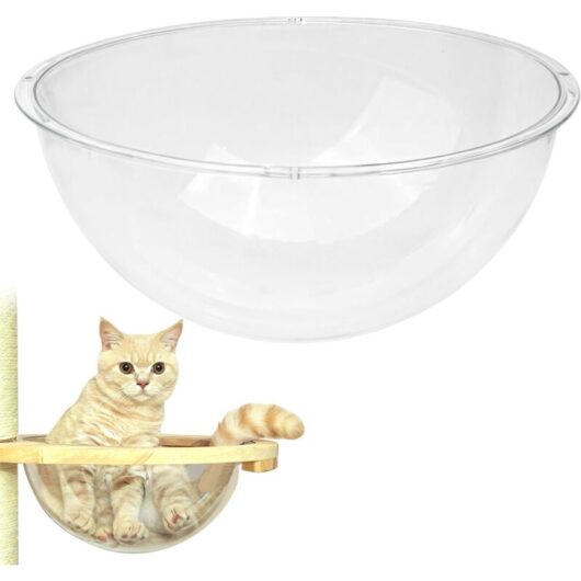12.6" Acrylic Dome Clear Plastic Pet Cat Bubble Window Capsule Space Cover, Durable Transparent Furniture Replacement for Nest Bed Hammock Catching