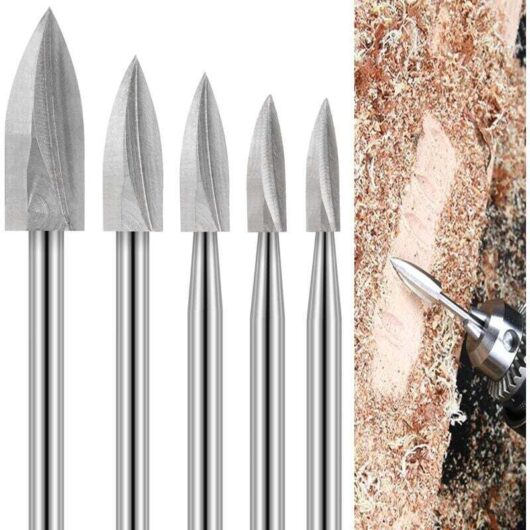 Wood Carving Bit Set, 5 Pieces Wood Carving Bits with 1/8" Shank for DIY, Carving, Engraving, Sanding and Drilling