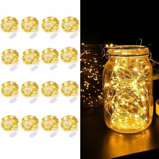 16 Pack 10 Feet 30 led String Lights, Silver Wire, Warm White Weddings, Centerpieces, Table Decorations diy, Christmas, Father's Day (Mason jar not