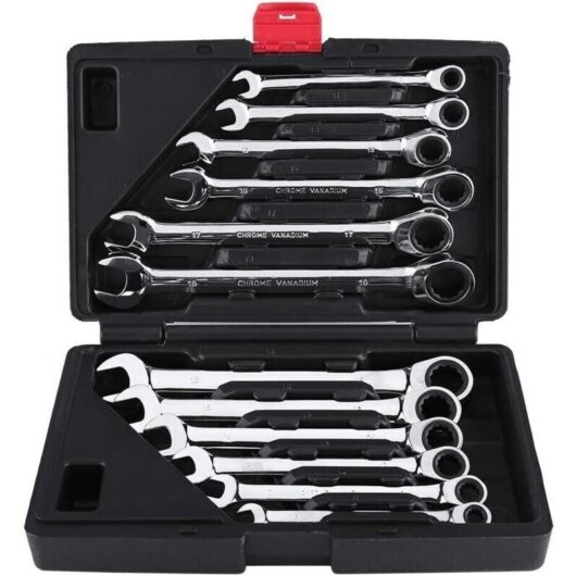 Ratcheting Open-End/Extended Wrench Set, Socket Wrench and Bit Set, 8mm-19mm Ratcheting Adjustable Wrench, 12pcs for Garage DIY (Extended Wrench)