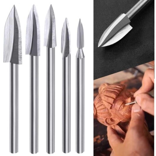 Wood Carving Rotary Tool Drill Bit Set, 5pcs Wood Carving Drill Bits with 1/8' Shank for diy Woodworking Engraving, Carving, Drilling and Sanding